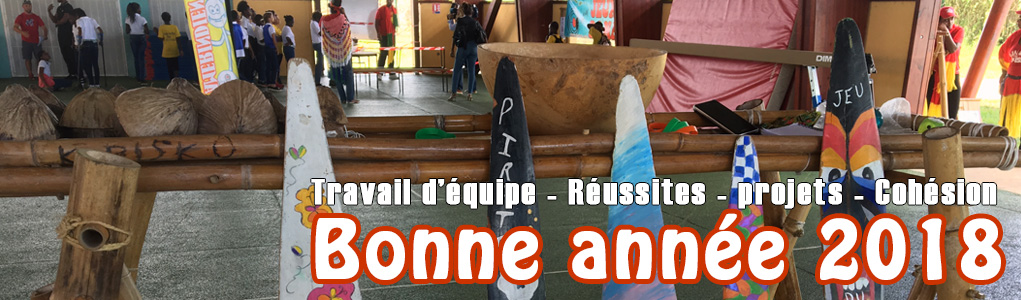 Bonne année 2018
